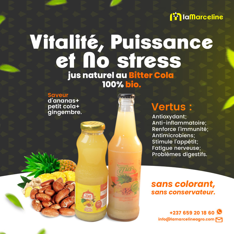 Jus de Bitter Cola 300 ml